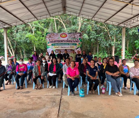 โครงการเพาะเห็ดนางฟ้า ประจำปีงบประมาณ 2569