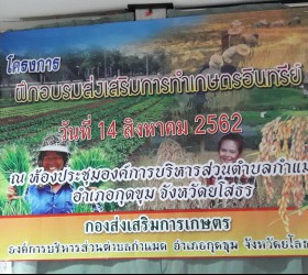 โครงการอบรมส่งเสริมการทำเกษตรอินทรีย์ วันพุธที่14สิงหาคม พ.ศ.2562