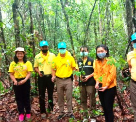 กิจกรรมปลูกป่าชุมชนร่วมกับเจ้าหน้าที่ตำรวจ สภ. กุดชุม และชาวบ้านโคกสวาท ณ วัดป่าโคกสวาท