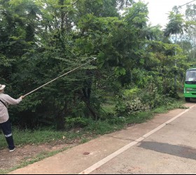 องค์การบริหารส่วนตำบลกำแมด ดำเนินการปรับปรุงภูมิทัศน์บริเวณสองข้างทาง ถนนหมายเลข 3017