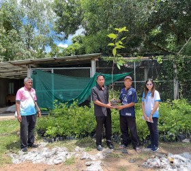 อบต.กำแมด แจกพันธุ์กล้าไม้